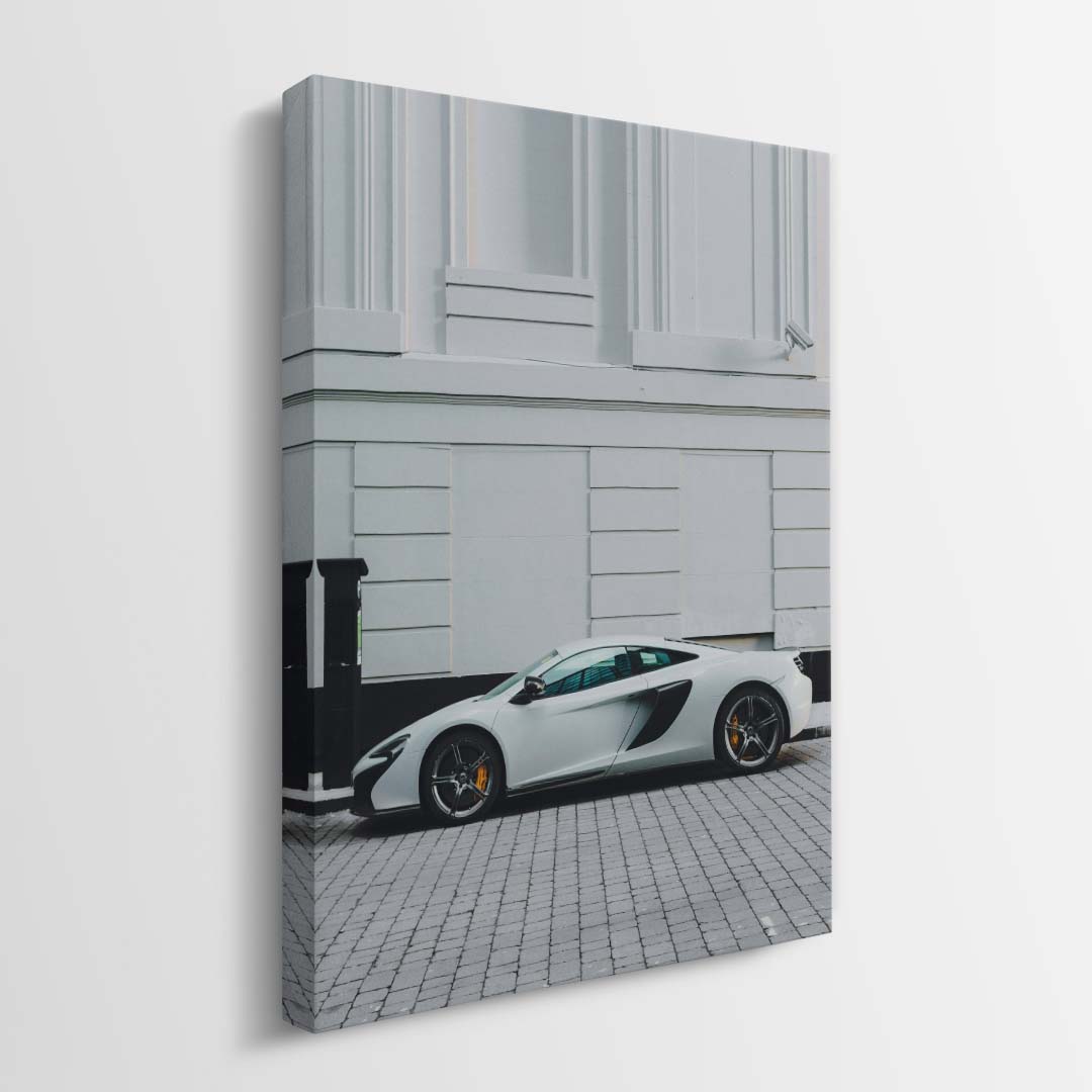 Urban Stealth canvas art